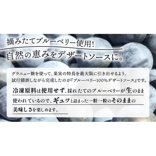 大崎上島産 ブルーベリー100%デザートソース 500mL×2本