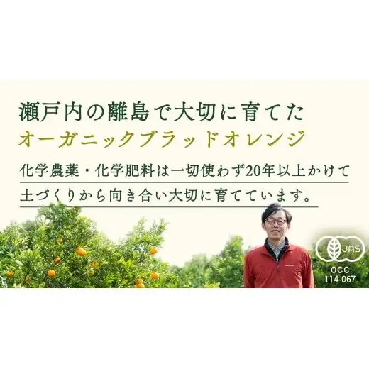 瀬戸内 オーガニック ブラッドオレンジ 1kg (8～10個程度)  【2027年2月下旬以降発送】