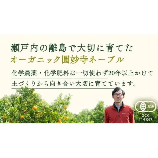 瀬戸内 オーガニック 圓妙寺 ネーブル 3kg ( 10~15個程度 ) 【2027年1月中旬以降発送】