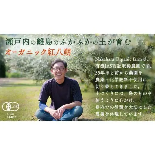 【 先行予約 】瀬戸内産 オーガニック 紅八朔 3kg 【2027年1月中旬以降発送】