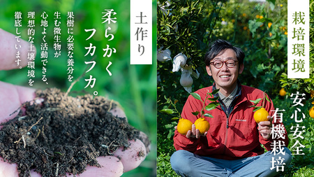 国産 オーガニック フルーツ 詰め合わせ 3kg 【 先行予約 3月 発送予定】 レモン ブラッドオレンジ はるか 不知火 紅八朔 有機JAS認証