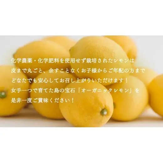 オーガニック 瀬戸内レモン 20kg 【2027年 1月 ～ 5月 出荷】 先行予約