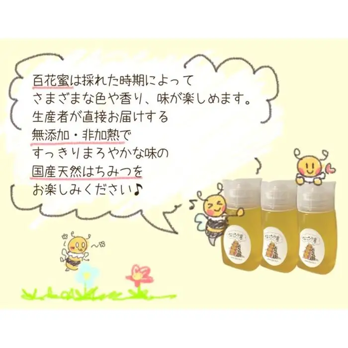 なごや天然はちみつボトル300g×3セット