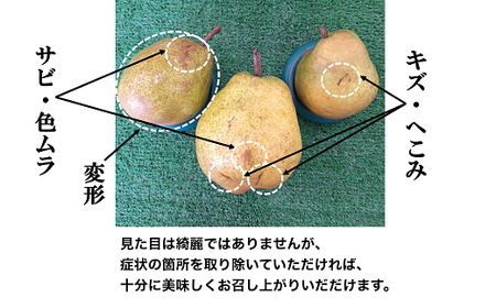 【令和8年産先行予約】 〈訳あり品 家庭用〉 ラ・フランス 約3kg (9～13玉) 《令和8年11月中旬～発送》 『カネタ高橋青果』 ラフランス 果物 フルーツ 山形県 南陽市 [2274]