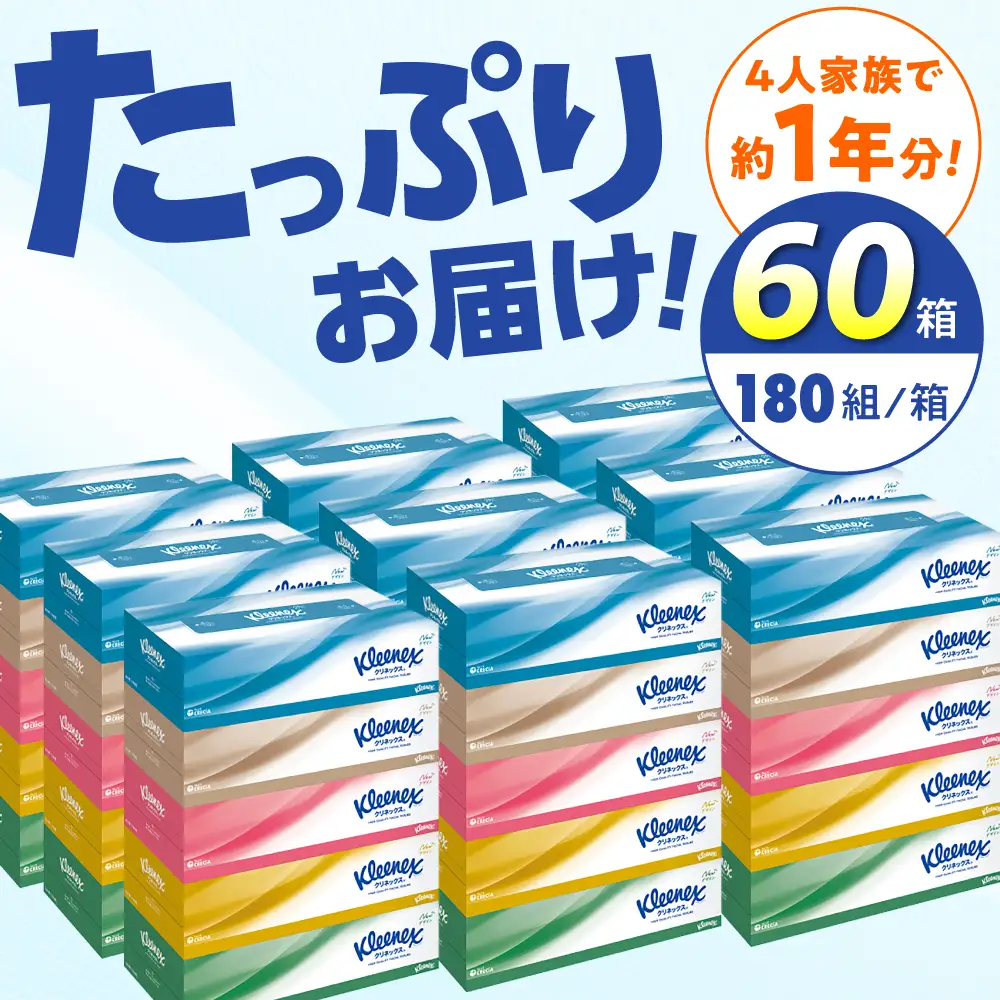 【全2回定期便(3ヵ月に1回)】クリネックス ティシュー 60箱(5箱×12パック ) ティッシュ [BDBH001-2]