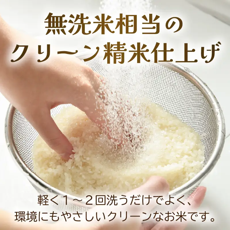 【先行予約】【令和8年産 新米】ワルツ農場のコシヒカリ クリーン精米 10kg（5kg×2袋） 特別栽培米【納得の美味しさ】減農薬 有機肥料使用 / お米 ご飯 白米 発送直前 精米 つや 艶 甘味 旨み 北陸 あわら市産 福井県産 ブランド米 ※2026年10月下旬以降発送予定 [aw046-b004]
