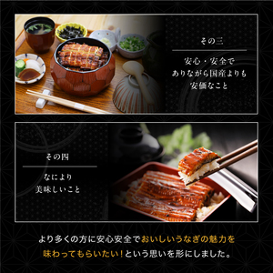 きざみうなぎ蒲焼き 10食  [001-a051]