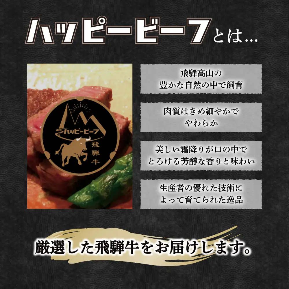 飛騨牛 ステーキ 赤身ヒレ 300g ステーキ JQ024-CP01 FN-Limited-PR