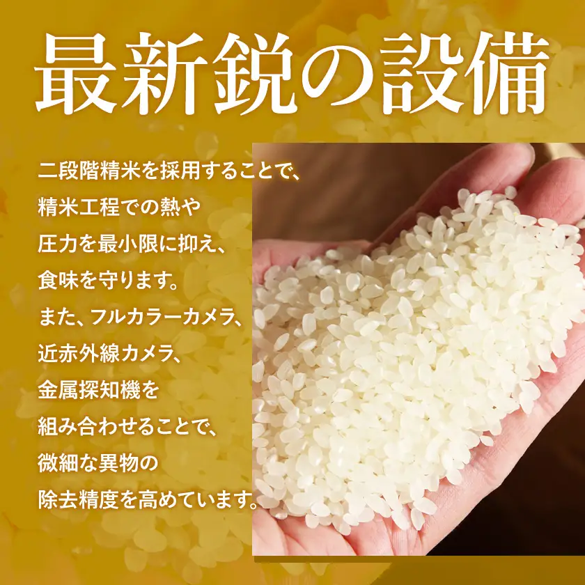 【無洗米】令和7年産 こしひかり5kg 無洗