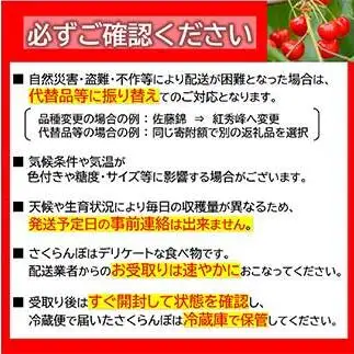 【令和9年産先行予約】 《定期便3回》 くだもの”たっぷり”定期便 『南陽中央青果市場』 山形県 南陽市 [1970-R9]
