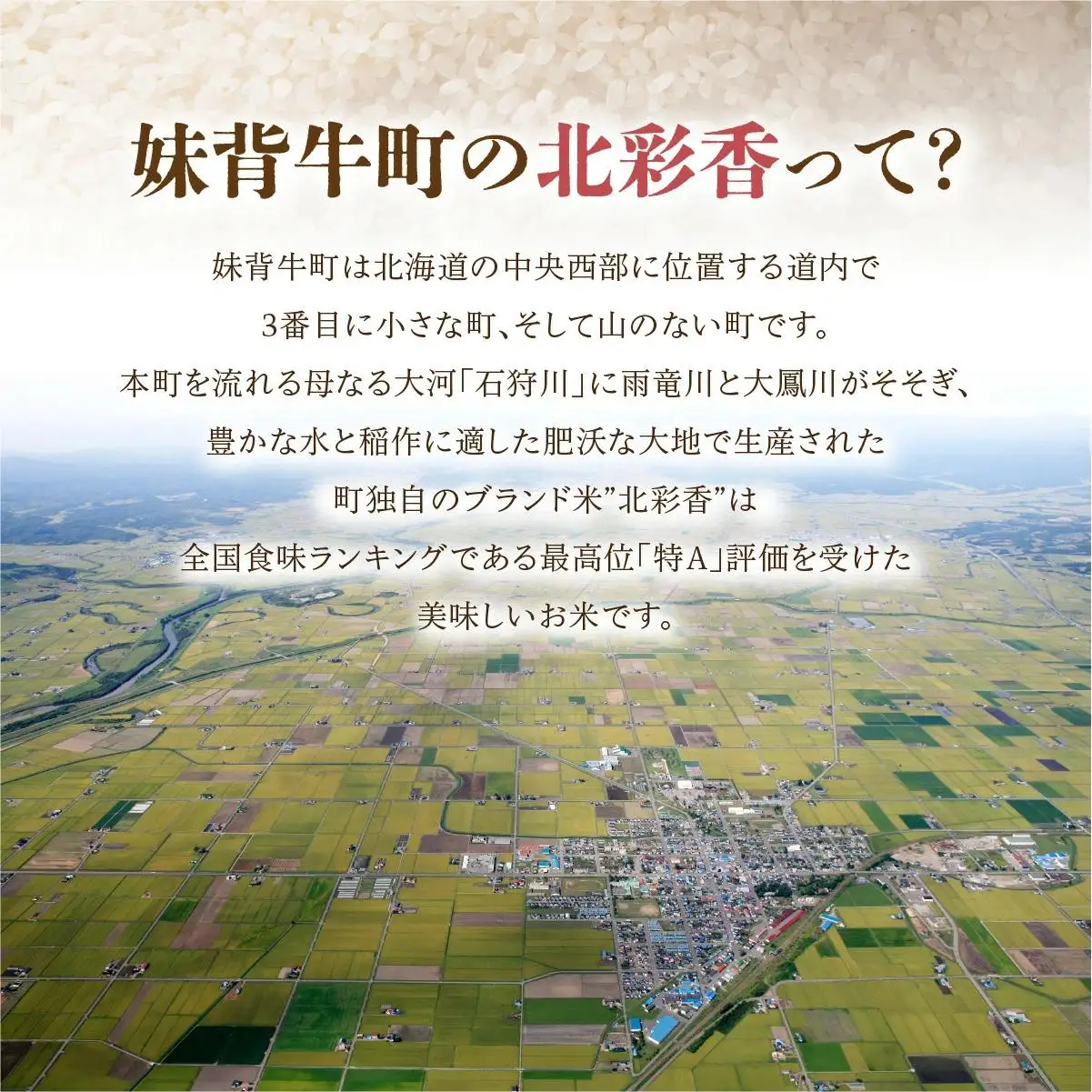 令和8年産 ゆめぴりか 玄米 20kg  【北彩香】