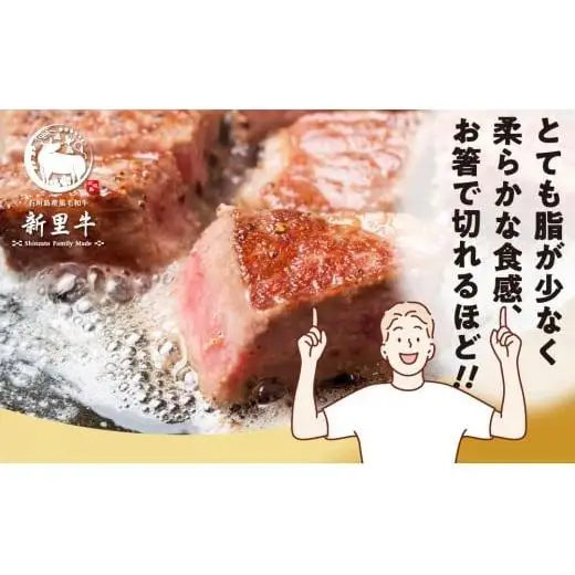 石垣島産 黒毛和牛 新里牛 職人手切りヒレサイコロステーキ（200g×1）200g SZ-32