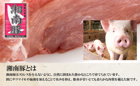 【6ヵ月定期便】湘南豚 ロース・バラしゃぶしゃぶ セット 1kg 6か月 定期便 豚肉【神奈川 藤沢】