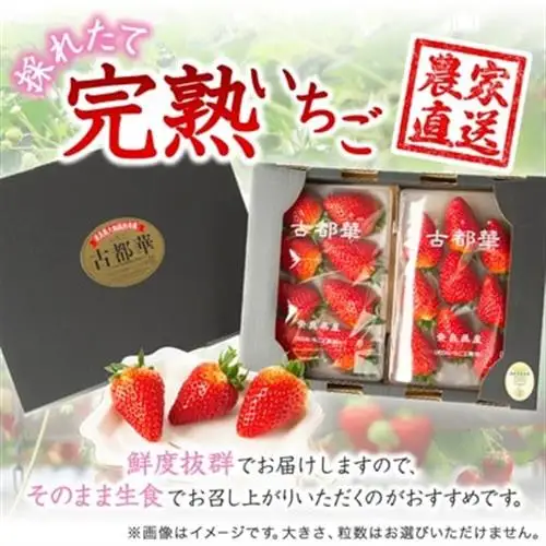先行予約　奈良県産いちご　古都華　化粧箱入り4パック_果物・フルーツ いちご  イチゴ 苺_【配送不可地域：離島・北海道・沖縄県】【1253923】