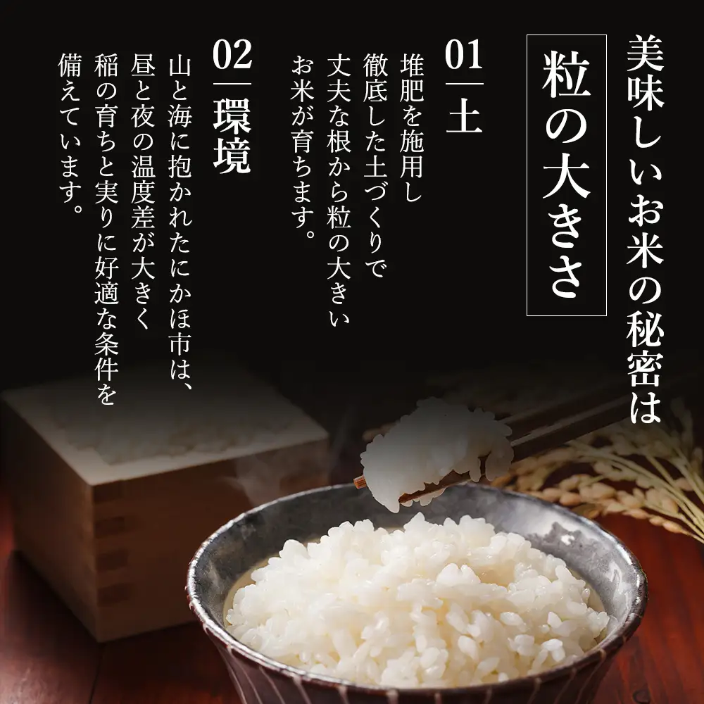 先行予約【12か月定期便】白米 あきたこまち 5kg 令和8年産 白米