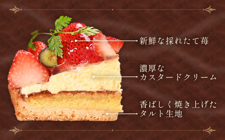 先行予約 フレッシュ苺タルトケーキ 5号：直径15cm (4～5人前) 850g 2027年1月発送 スイーツ ケーキ [A-5217_01]