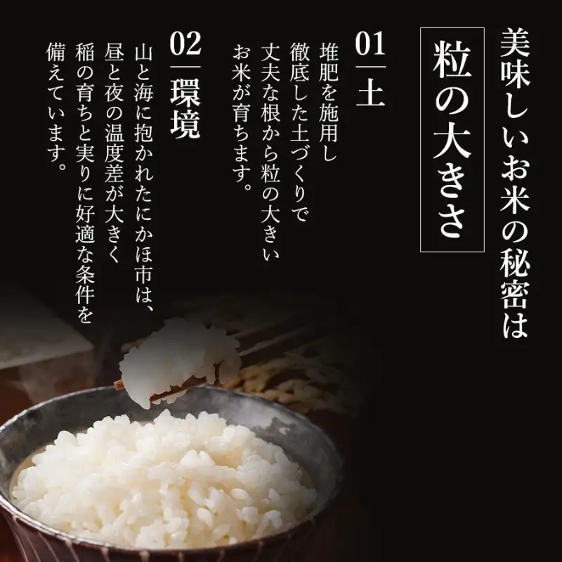 先行予約【8ヵ月定期便】ひとめぼれ 5kg 白米 令和8年産 白米