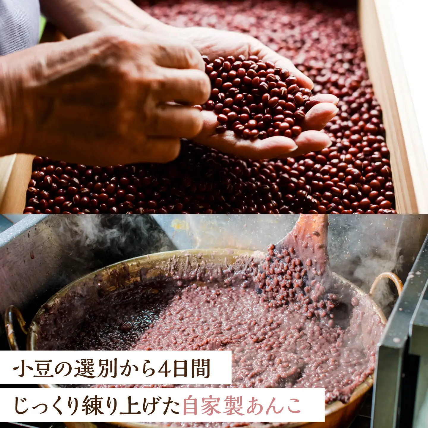 【冷凍】小嶋やの謹製どら焼き（5個入） / 佐賀県 / 小嶋や [41AEAN021]