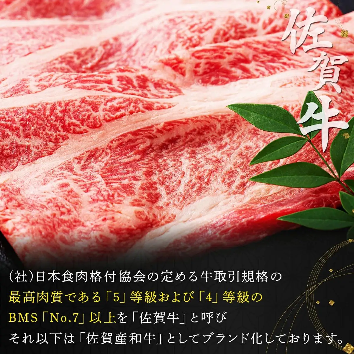 佐賀牛しゃぶ･すき用&ステーキセット M-36