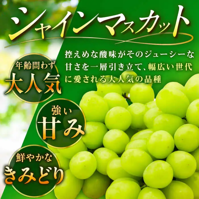 【2026年先行予約】【8月初旬頃から順次発送】シャインマスカット 2房 約800g [AIAA002] ぶどう