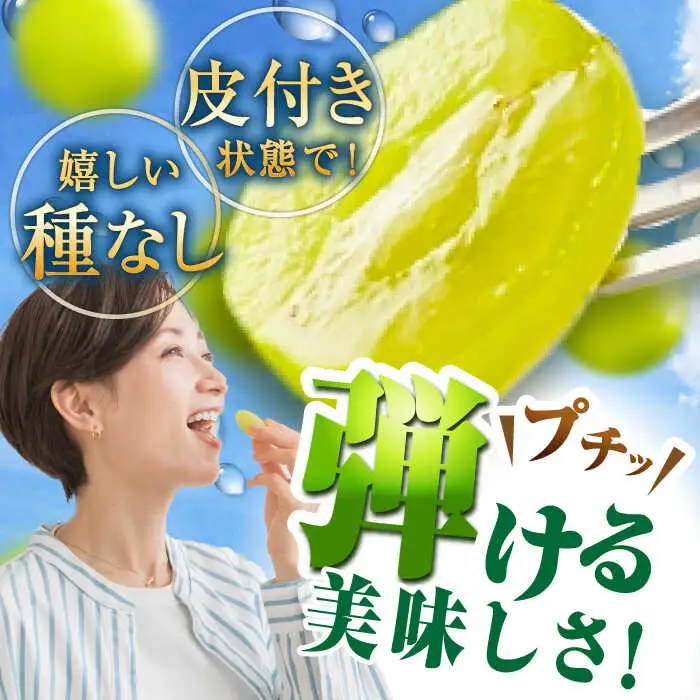 マスカット 【2026年先行予約】【15個限定】【ご自宅用】シャインマスカット 1房（約500g） [AIAB004] マスカット