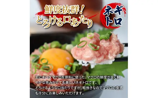 鯛の漬け丼＆マグロのネギトロ 各10P 計20P 訳あり【漬け丼＆ネギトロ】
