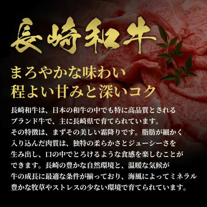 【全12回定期便】長崎和牛 牛半頭分買い [JGV017]