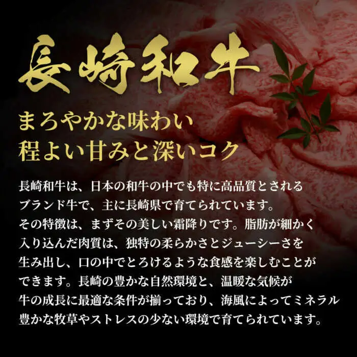 【全12回定期便】長崎和牛 牛一頭分買い [JGV025]