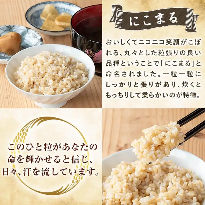 K-391-G 【12回定期便】令和7年産 てまひま米・玄米(品種:にこまる)(計60kg：5kg×12回)【末蜜農園】霧島市 お米 玄米 米 こめ コメ ご飯 ごはん 定期便 栽培期間中農薬不使用 