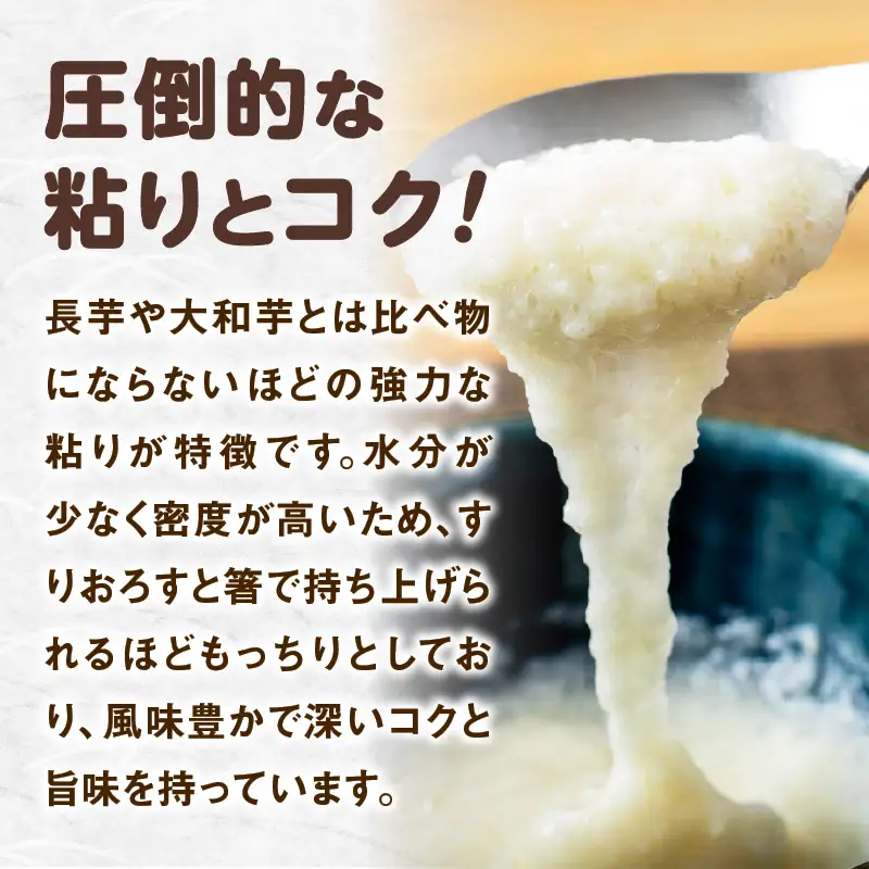 【3ヶ月定期便】冷凍とろろ2キロセット（50g×40袋）　215P075004-03-40【 東北センバ】