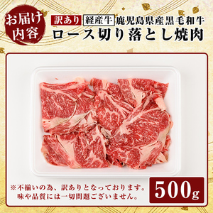 K-325 ＜訳あり・不揃い＞鹿児島県産黒毛和牛(経産牛)ロース切り落とし焼肉(500g)【ビーフ倉薗】霧島市 牛肉 ヤキニク 焼き肉 国産 鹿児島県産 黒毛和牛 肉 精肉 牛