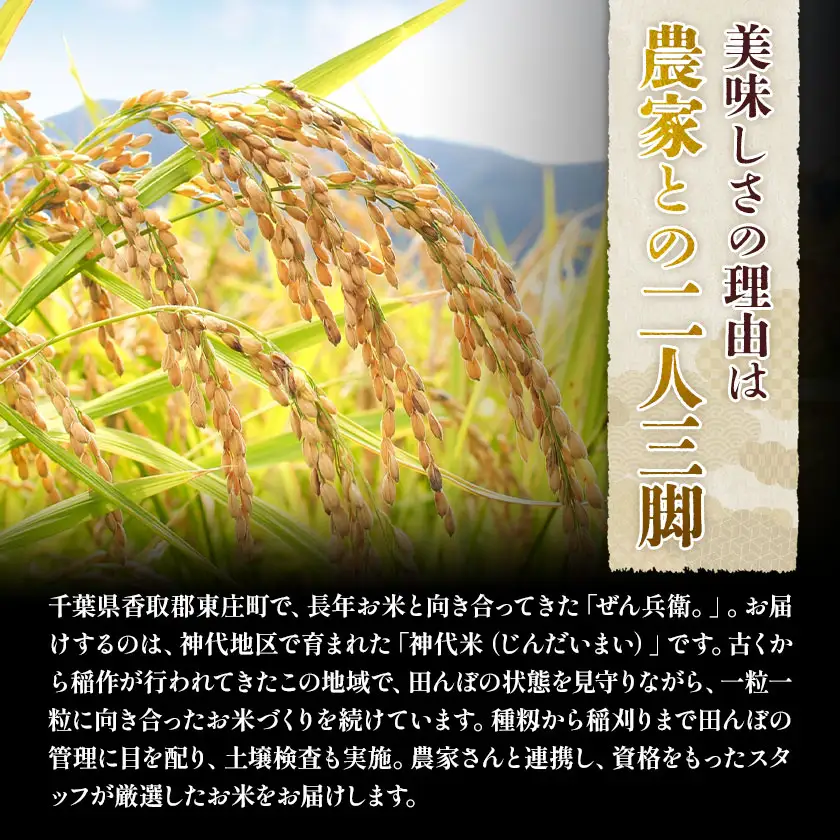 米 白米 神代米 粒すけ 令和7年産 5kg ぜん兵衛。