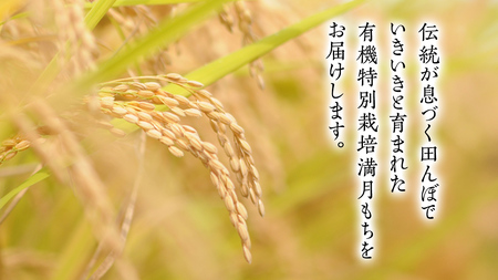 【ふっくら なめらか 良くのびる】＜令和7年産＞ 満月もち 精米 5kg 