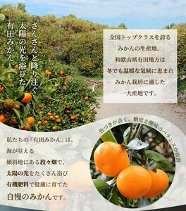有田みかん 家庭用 完熟 1kg+250g（傷み補償分）サイズ混合 ｜ みかん