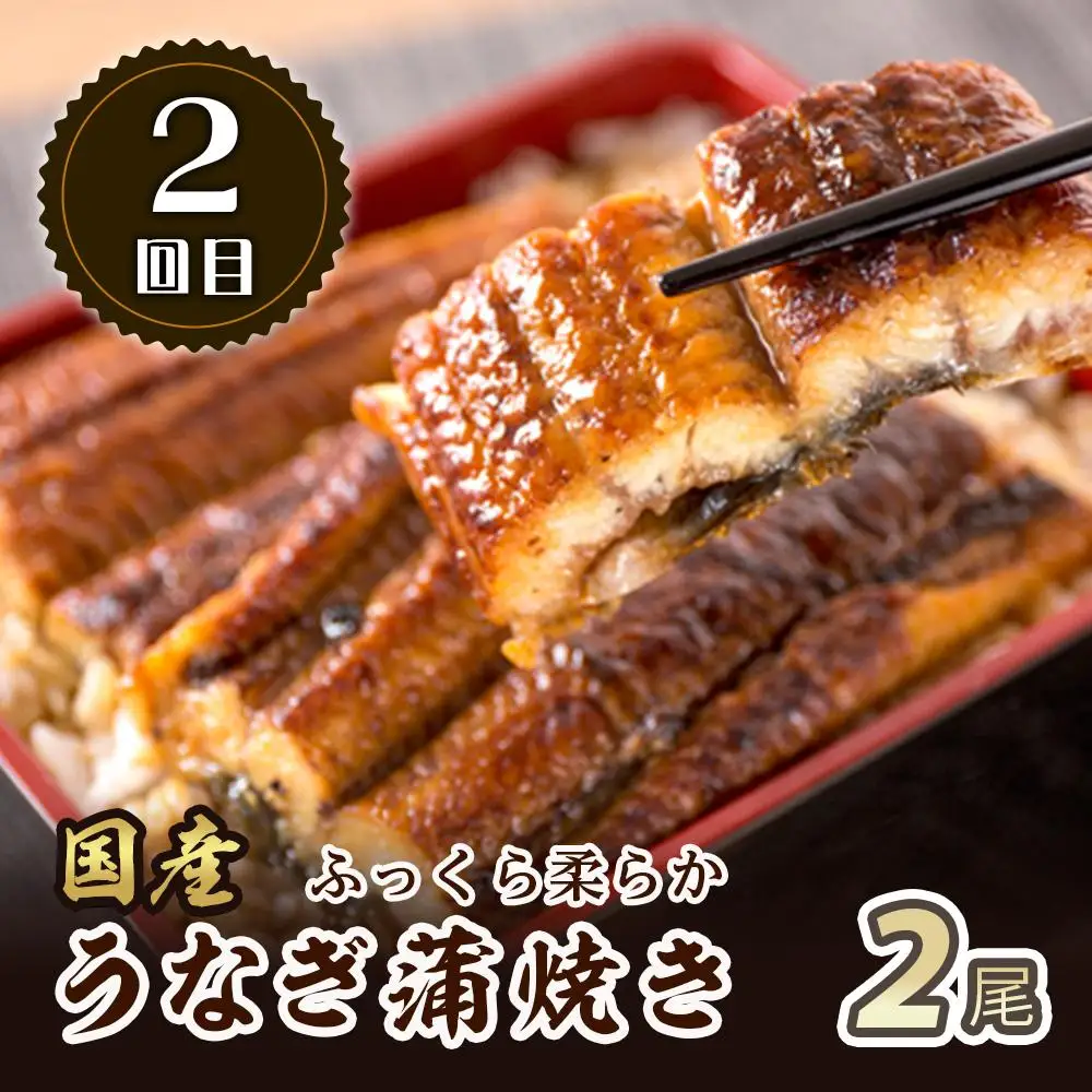 【定期便 全3回】紀州和歌山うまいもんセットA（生まぐろ・うなぎ蒲焼・熊野牛）【UT125】