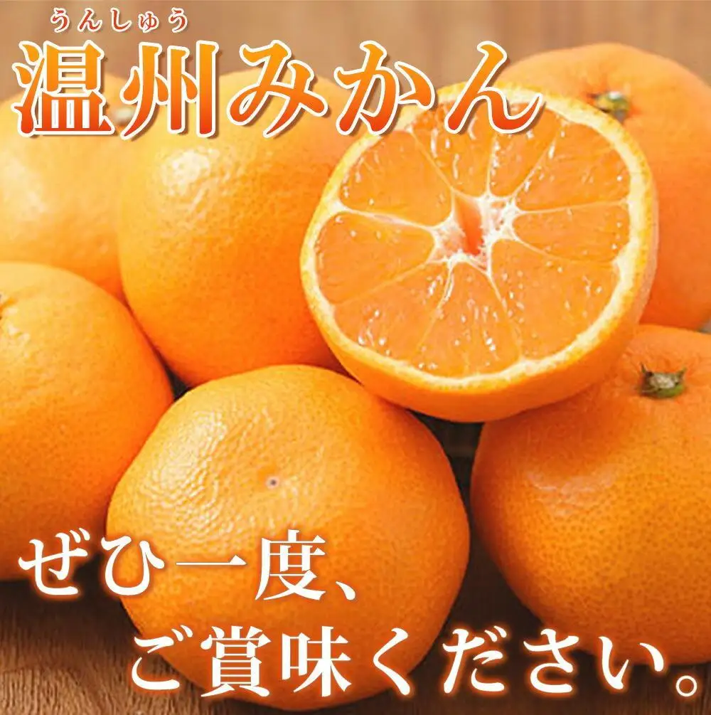 ［ご家庭用訳あり］紀州有田産濃厚完熟温州みかん 約2kg［2026年11月下旬以降発送］［先行予約］
