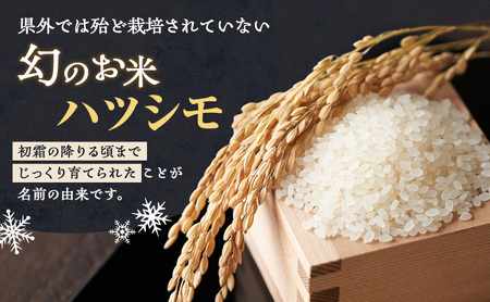 【定期便】令和7年産 岐阜県産 ハツシモ 10kg (6ヵ月連続お届け) 米 お米 コメ 白米 精米 ハシツモ 定期便 岐阜 瑞穂市 ※2025年11月下旬頃より順次発送予定