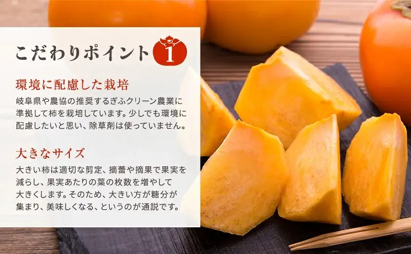 富有柿発祥の地から収穫翌日発送！【贈答用】富有柿 2Lサイズ 12個 | かき フルーツ カキ 果物 くだもの ※2026年11月～発送
