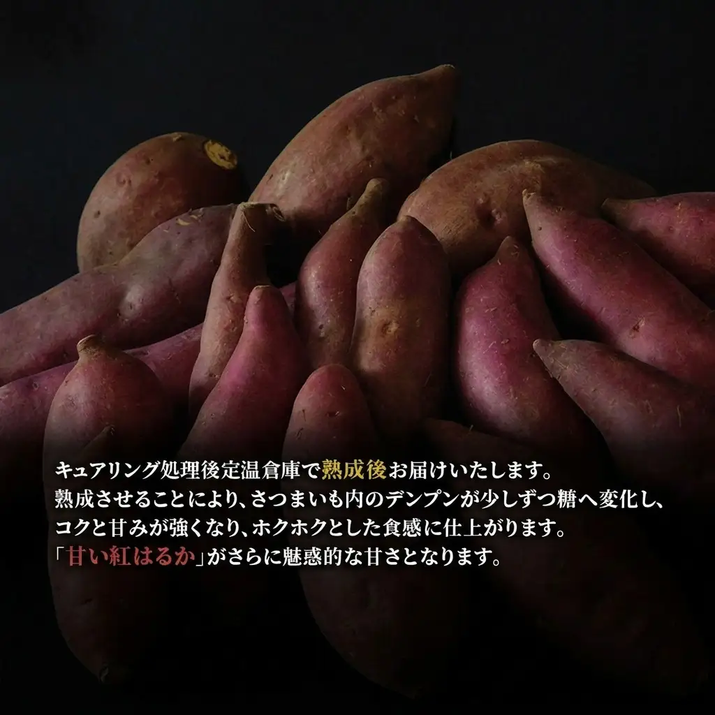 さつまいも 紅はるか 訳あり無選別 熟成 さつまいも【5kg】