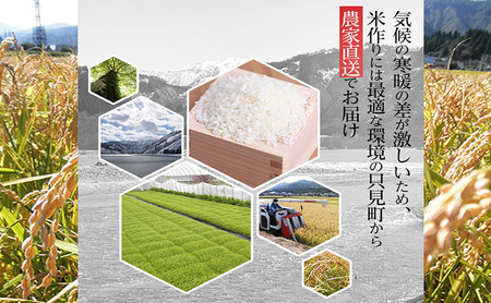 【米屋商店】令和7年産 こだわりの奥会津只見産 コシヒカリ 5kg お米 米 ごはん ご飯 単一原料米