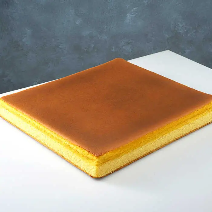 長崎カステラ 1号(580g、10切)×2本 / かすてら カステラ お菓子 おやつ スイーツ / 諫早市 / 株式会社異人堂 [AHBF006]