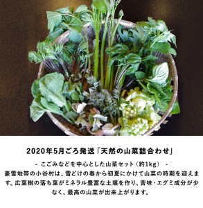 【年4回発送】小谷村特産品定期便｜おたりの旬をお届けします