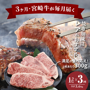 【3回定期便】宮崎牛 A4等級以上 特上ロースステーキ(300g×4枚×3回) 計3.6kg_K16_T007_1