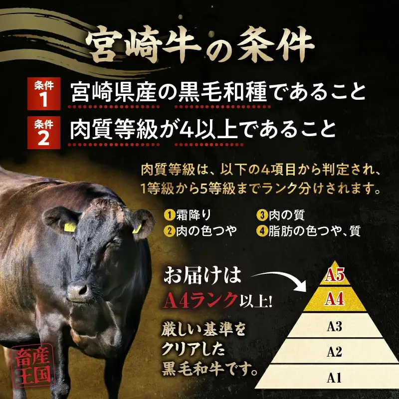 【3か月定期便】宮崎牛ステーキ定期便 牛肉 肉 肩ロースステーキ サイコロステーキ モモステーキ 赤身 ロース モモ霜降り 宮崎牛 料理 アウトドア キャンプ バーベキュー BBQ 贈り物 贈答 ギフト おすそ分け パーティー クリスマス お祝い プレゼント 宮崎県 高千穂町 _Tk031-t022