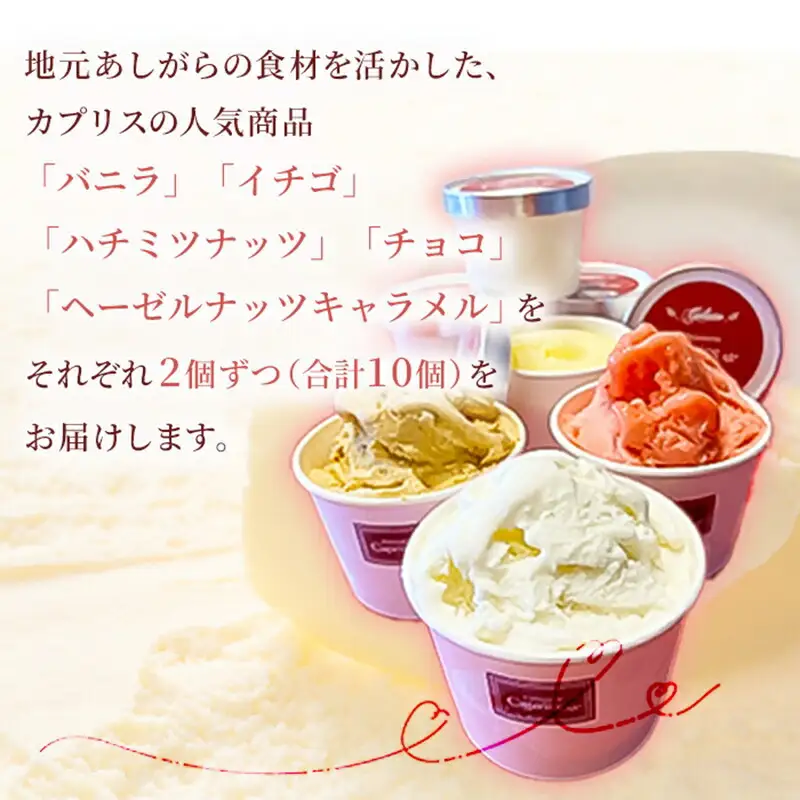 洋菓子屋がつくったデザート系ジェラート（10個：5種類×2個） ※バニラ・イチゴ・ハチミツナッツ・チョコ・ヘーゼルナッツキャラメル それぞれ2個ずつ【 デザート アイス 神奈川県 南足柄市 】