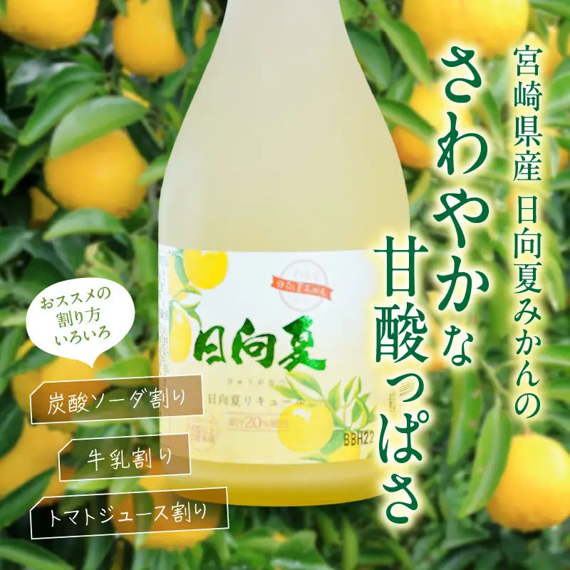 宮崎県産日向夏みかん使用 日向夏リキュール　300ml×6本セット 日向夏みかん フルーツ酒 宮崎県産日向夏みかん お酒 酒 アルコール 飲み会 宅飲み リキュール 贈答 贈り物 ギフト プレゼント 国産 _Tk023-019-h