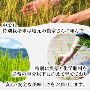 MR-13　減農薬・減化学肥料　特別栽培米こしひかり　5kg（玄米）