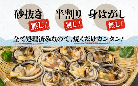 天然大あさり 約3kg だし醤油 CAS冷凍 半割処理済 海鮮バーベキュー