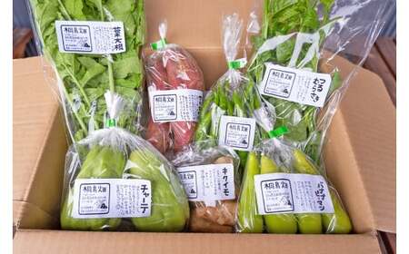 【栽培期間中、農薬・化学肥料不使用】桐島畑の季節野菜詰め合わせ(7種類) Fkh-10 ／ やさい 国産野菜 四万十 高知 季節 フレッシュ 旬 無農薬 有機農業