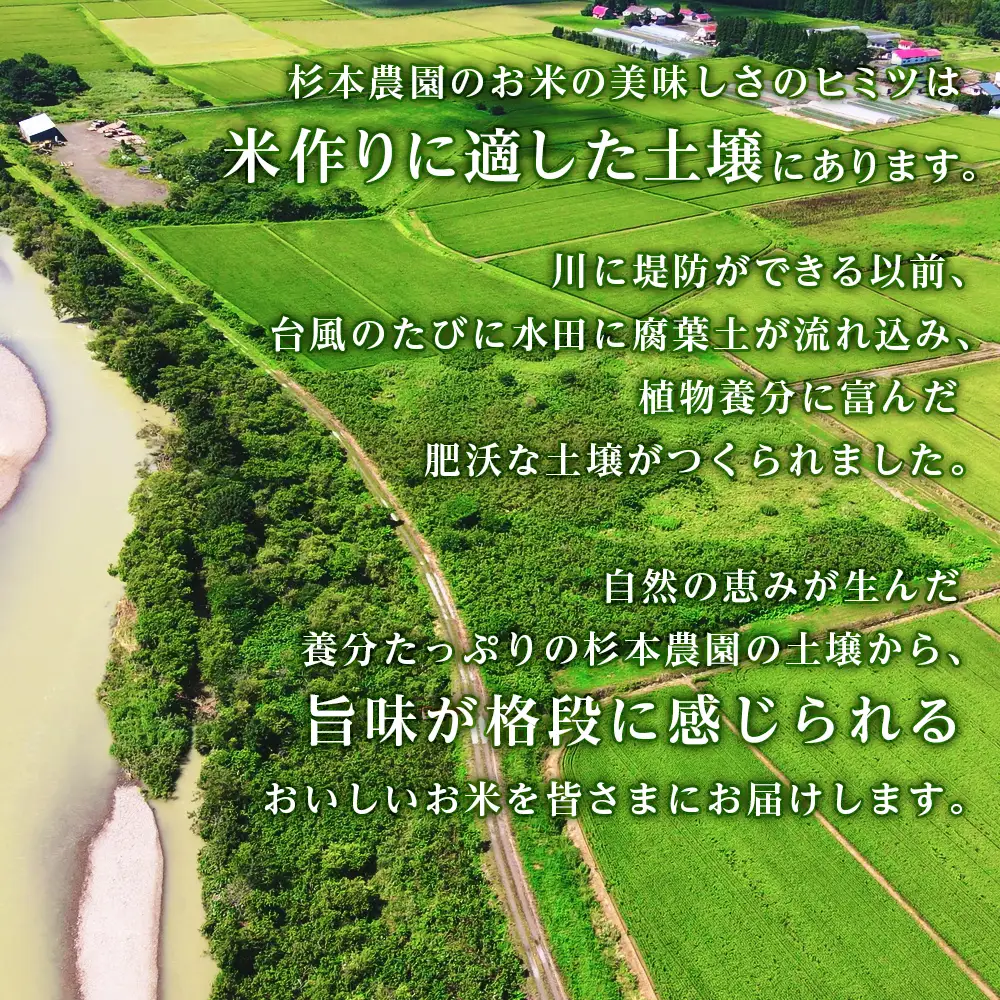 【令和7年産新米】【定期便6回】ふっくりんこ 5kg《杉本農園》